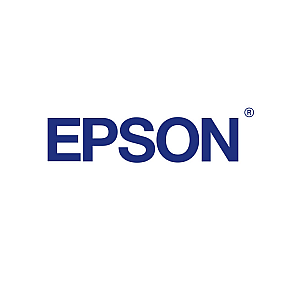 Epson 113 inktcartridge cyaan (origineel)